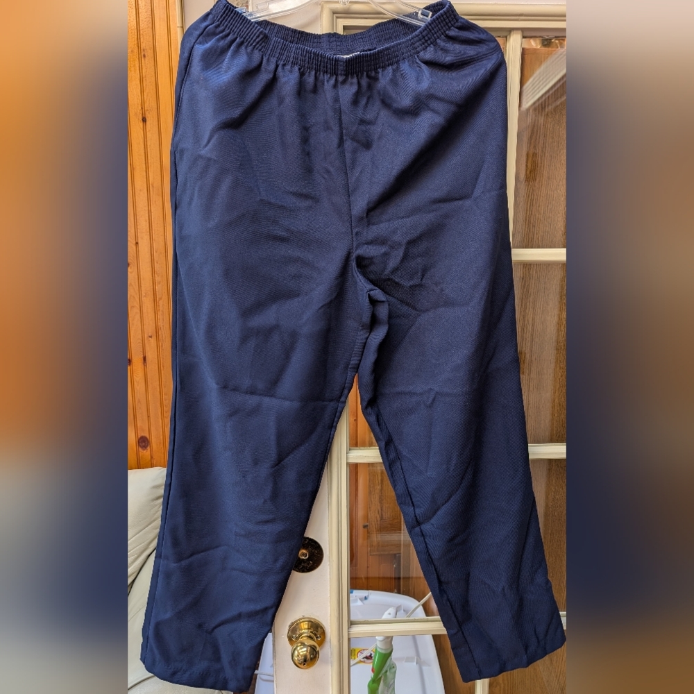 Elegant Blue Dress Pants with Smooth Finish